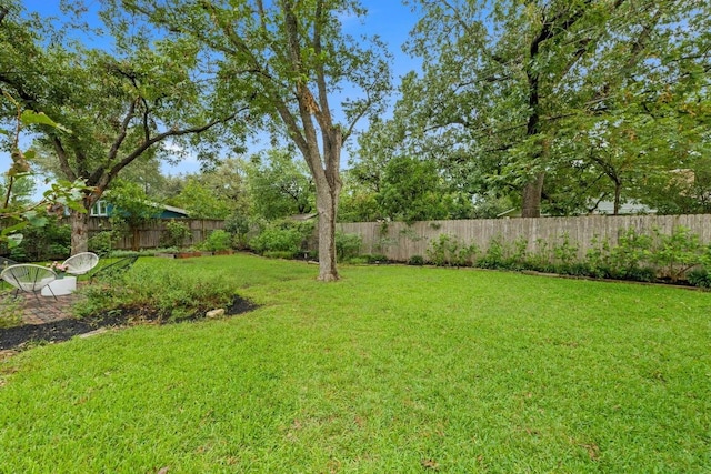 7710 Shoal Creek Blvd, Austin, TX 78757 - view of yard