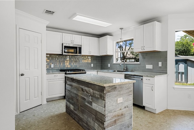 1213 Pathfinder Way, Round Rock, TX 78665 - kitchen with appliances with stainless steel finishes, white cabinets, healthy amount of natural light, and ornamental molding