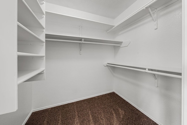 1213 Pathfinder Way, Round Rock, TX 78665 - walk in closet featuring carpet