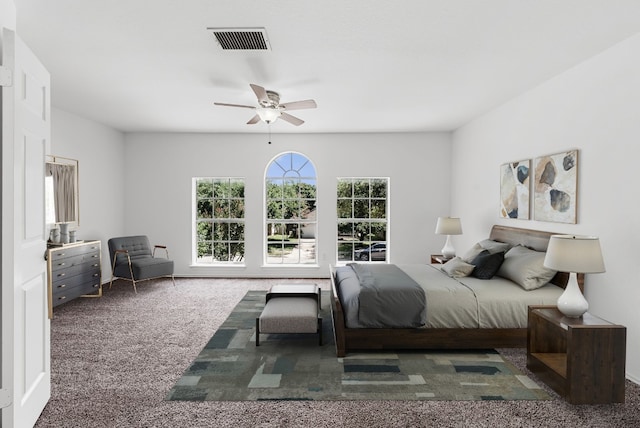 1213 Pathfinder Way, Round Rock, TX 78665 - bedroom with carpet floors and a ceiling fan
