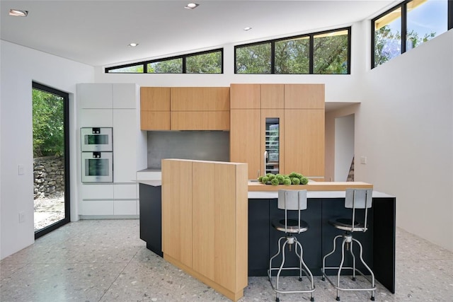 1900 Airole Way, Austin, TX 78704 - kitchen featuring modern cabinets, light countertops, a center island, double oven, and high vaulted ceiling