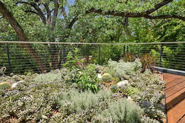 1900 Airole Way, Austin, TX 78704 - view of yard
