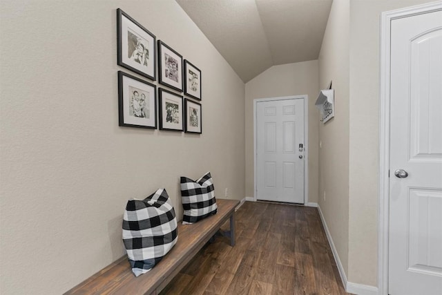 3402 Tilmon Ln, Austin, TX 78725 - hallway featuring vaulted ceiling and dark wood-type flooring