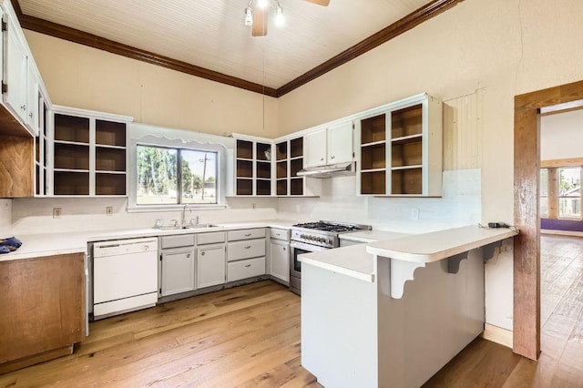 3701 Fm 972, Georgetown, TX 78626 - kitchen with white dishwasher, high end stove, open shelves, crown molding, and under cabinet range hood