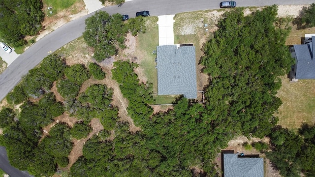 1703 Omaha Dr, Lago Vista, TX 78645 - aerial view of property's location