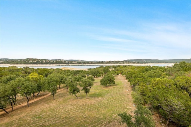 5921 Hiline Rd Unit 2404, Austin, TX 78734 - water view