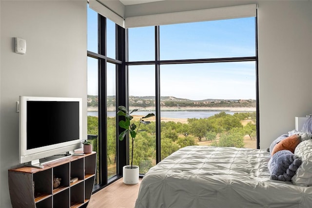5921 Hiline Rd Unit 2404, Austin, TX 78734 - bedroom featuring multiple windows, expansive windows, and wood finished floors