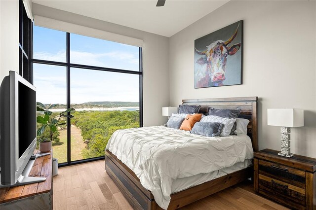 5921 Hiline Rd Unit 2404, Austin, TX 78734 - bedroom with light wood finished floors and ceiling fan