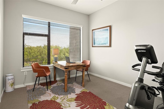 5921 Hiline Rd Unit 2404, Austin, TX 78734 - home office with carpet and ceiling fan