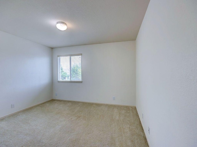11509 Timber Heights Dr, Austin, TX 78754 - photo 23
