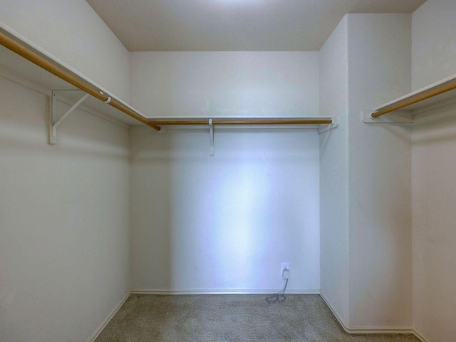 11509 Timber Heights Dr, Austin, TX 78754 - walk in closet with carpet floors