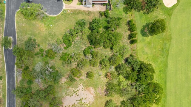 W28039 Wild Horses, Horseshoe Bay, TX 78657