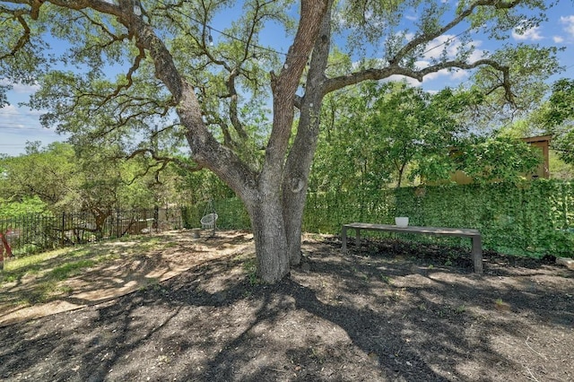 15507 Enid Dr, Austin, TX 78734 - view of yard