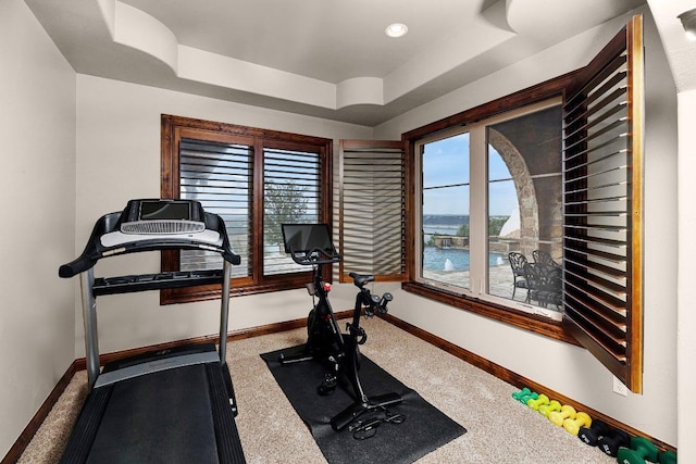 908 Watercliffe Dr, Lago Vista, TX 78645 - workout room featuring baseboards and a tray ceiling