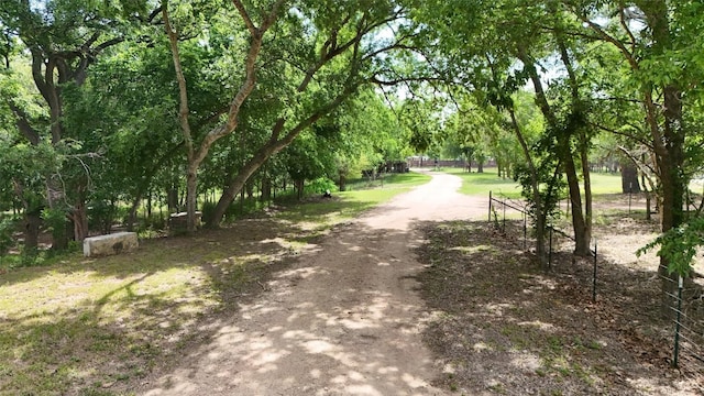835 County Road 256, Liberty Hill, TX 78642 - photo 21