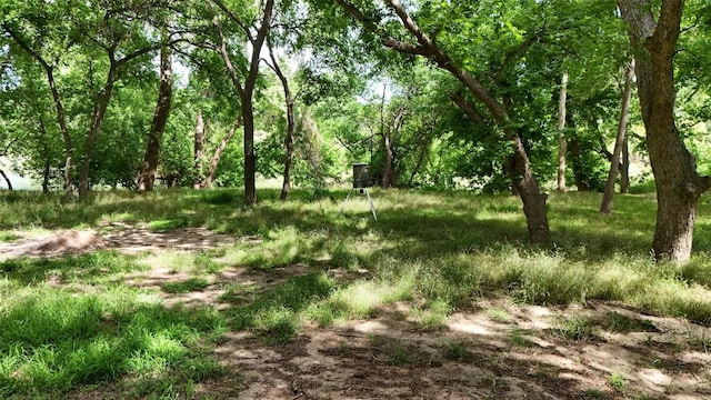 835 County Road 256, Liberty Hill, TX 78642 - photo 24
