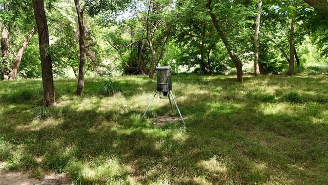 835 County Road 256, Liberty Hill, TX 78642 - photo 26