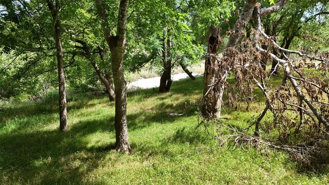 835 County Road 256, Liberty Hill, TX 78642 - photo 27
