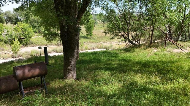 835 County Road 256, Liberty Hill, TX 78642 - photo 29
