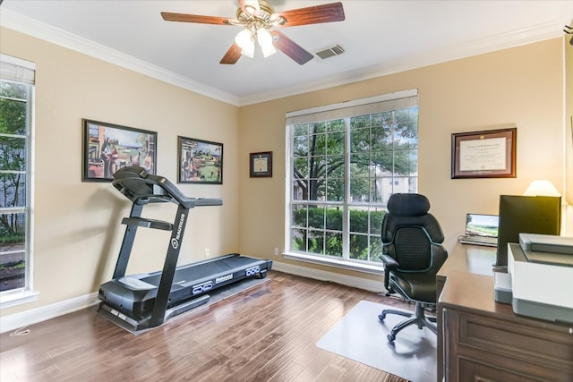 10309 Van Winkle Ct, Austin, TX 78739 - home office featuring ornamental molding, healthy amount of natural light, wood finished floors, and ceiling fan