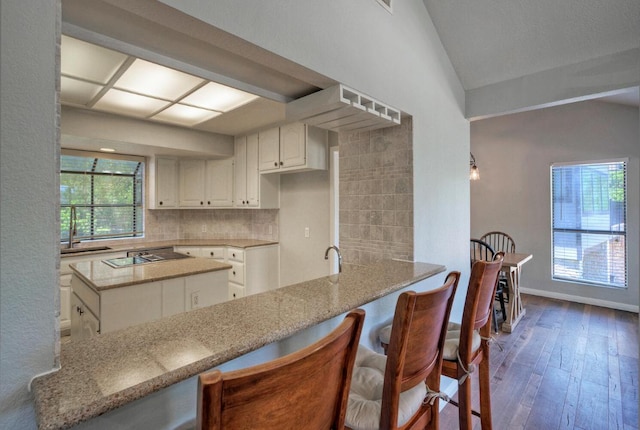 13111 Mansfield Dr, Austin, TX 78732 - kitchen featuring dark wood-style flooring, stovetop, light stone countertops, tasteful backsplash, and vaulted ceiling