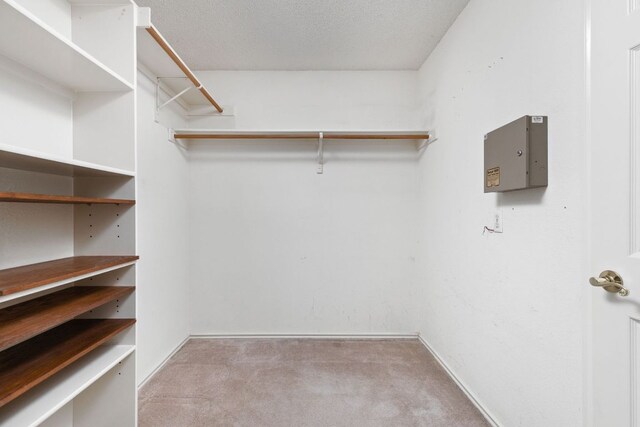 11978 Dorsett Rd, Austin, TX 78727 - spacious closet with carpet
