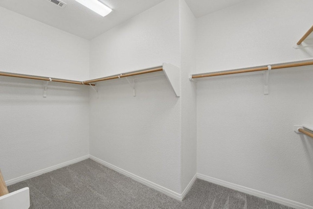 1508 Australis Cv, Austin, TX 78732 - spacious closet featuring carpet flooring