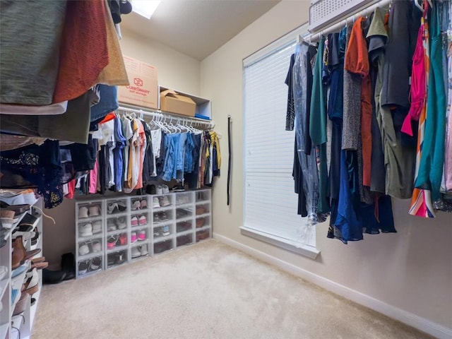 11404 Terrace Meadow Way, Manor, TX 78653 - walk in closet with carpet floors