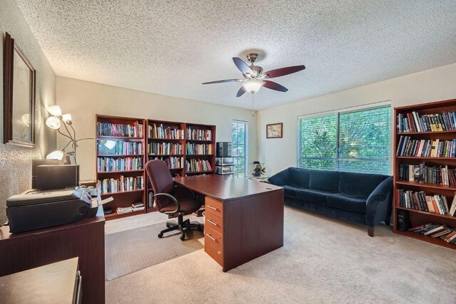 12711 Possum Hollow Dr, Austin, TX 78729 - photo 21