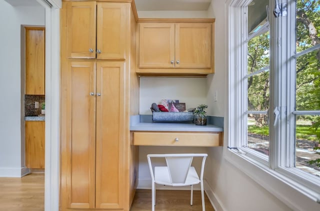 2702 Bonnie Rd, Austin, TX 78703 - kitchen featuring healthy amount of natural light, light wood-style floors, and light countertops