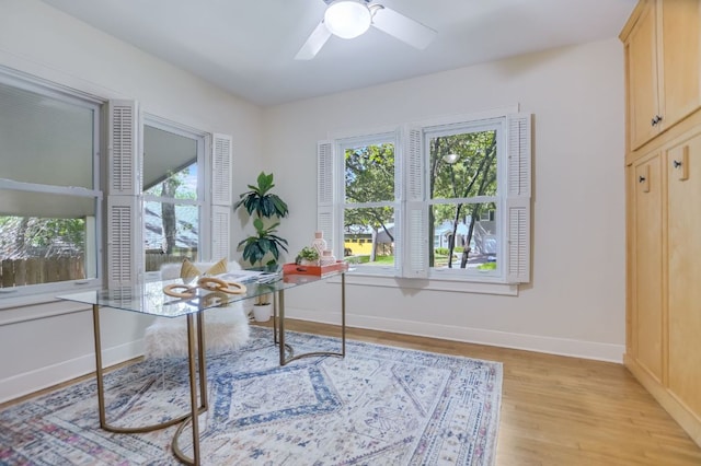2702 Bonnie Rd, Austin, TX 78703 - office space with plenty of natural light, light wood-style flooring, and a ceiling fan