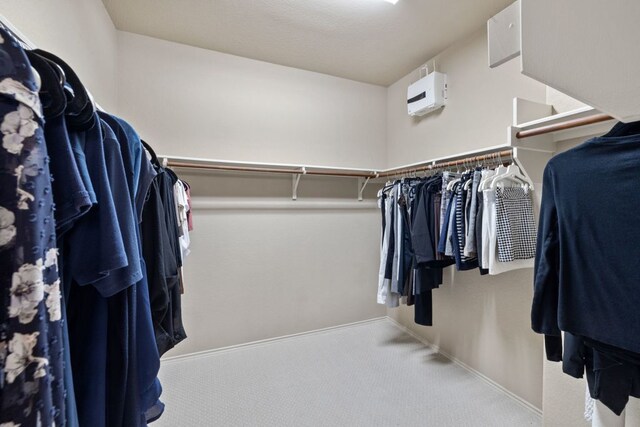 1802 Tall Chief, Leander, TX 78641 - walk in closet with carpet