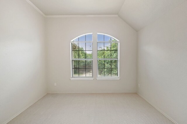 1802 Tall Chief, Leander, TX 78641 - carpeted empty room featuring lofted ceiling and baseboards