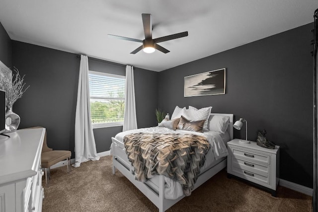 4605 Bat Falcon Dr, Austin, TX 78738 - bedroom featuring dark colored carpet and a ceiling fan