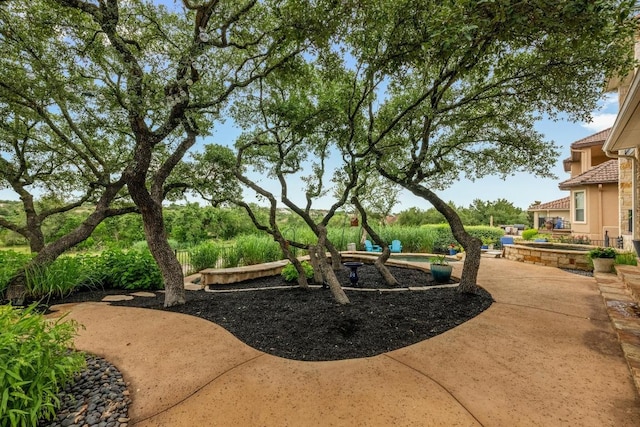 4605 Bat Falcon Dr, Austin, TX 78738 - surrounding community with a patio