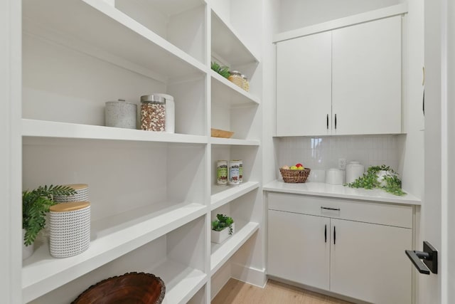 2711 Pegram, Austin, TX 78757 - view of storage area