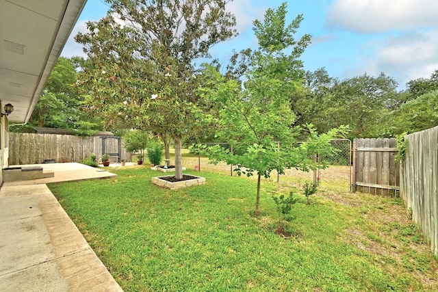 9602 Tea Rose Trl, Austin, TX 78748 - fenced backyard with a patio