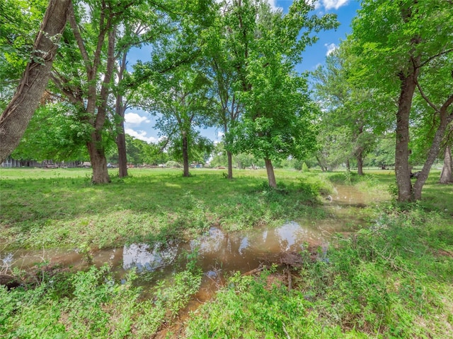 209 Old Sayers Rd, Elgin, TX 78621 - view of yard