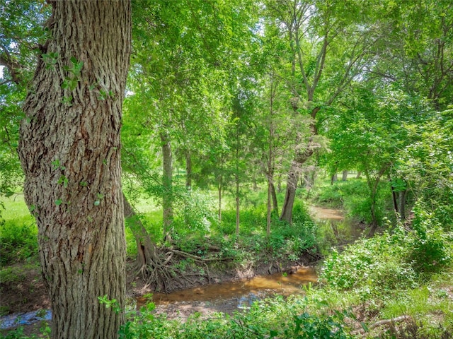 209 Old Sayers Rd, Elgin, TX 78621 - view of undeveloped land