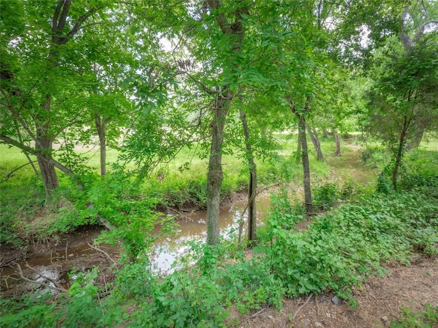 209 Old Sayers Rd, Elgin, TX 78621 - view of undeveloped land