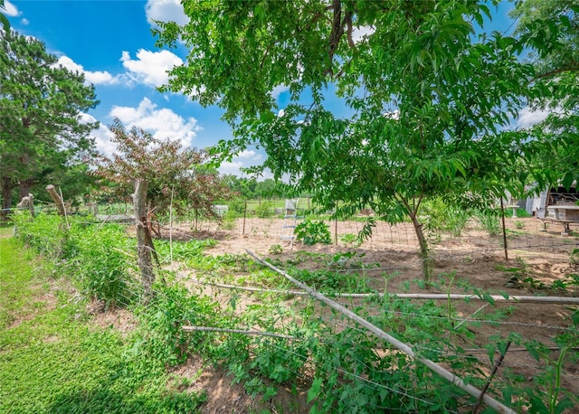 209 Old Sayers Rd, Elgin, TX 78621 - view of yard featuring a vegetable garden