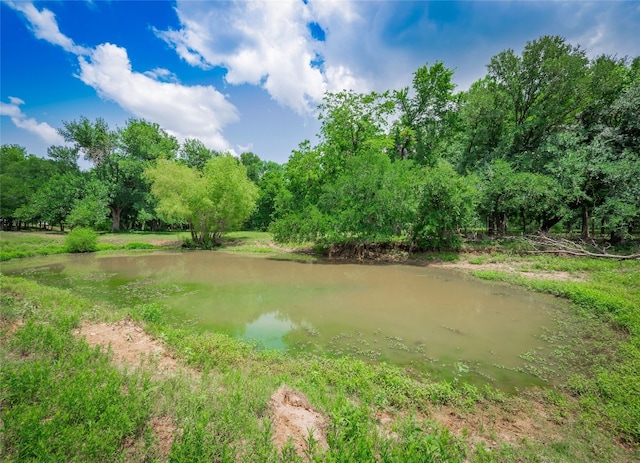 209 Old Sayers Rd, Elgin, TX 78621 - water view