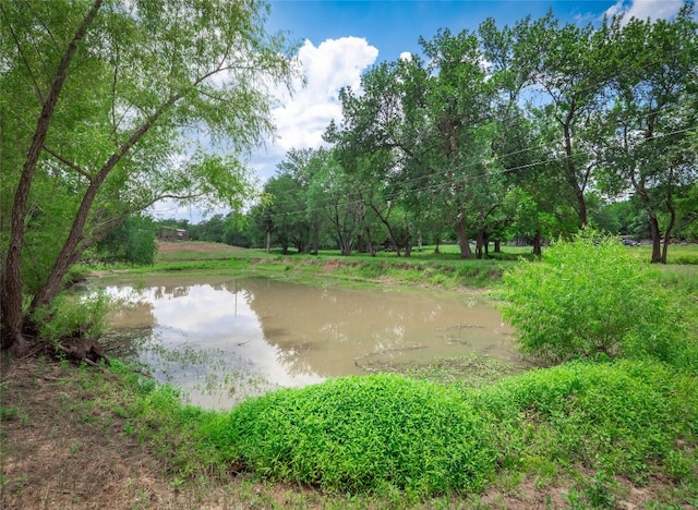 209 Old Sayers Rd, Elgin, TX 78621 - water view