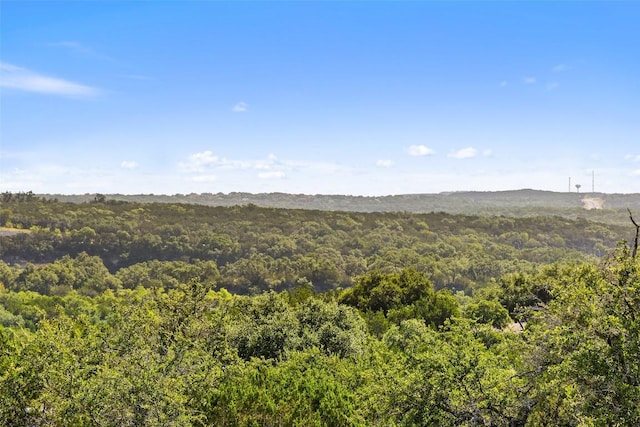 12300 Honey Mesquite Way, Austin, TX 78738