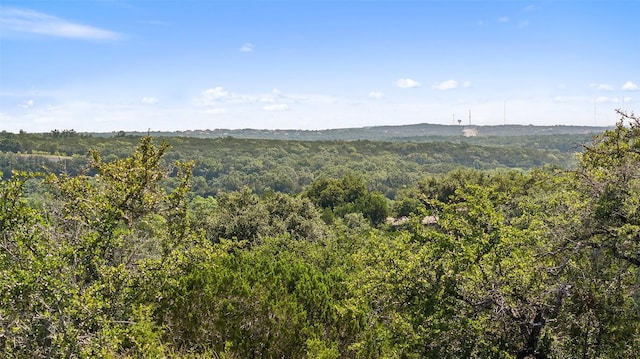 12300 Honey Mesquite Way, Austin, TX 78738
