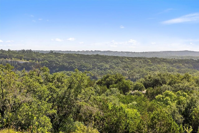 12300 Honey Mesquite Way, Austin, TX 78738