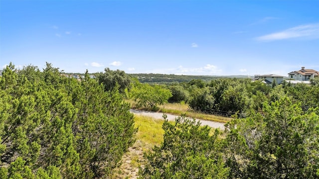 12300 Honey Mesquite Way, Austin, TX 78738