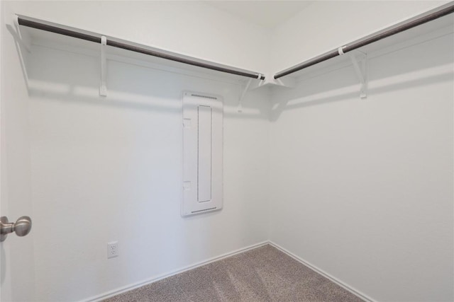 421 Bluejack Way, Hutto, TX 78634 - spacious closet featuring carpet floors