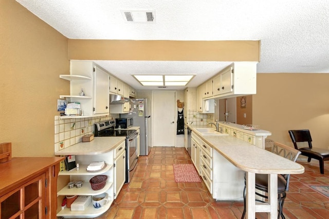 2500 Dana Cv, Austin, TX 78746 - kitchen featuring open shelves, stainless steel appliances, a peninsula, under cabinet range hood, and backsplash