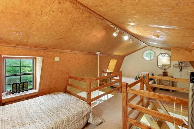 2500 Dana Cv, Austin, TX 78746 - carpeted bedroom featuring vaulted ceiling and track lighting